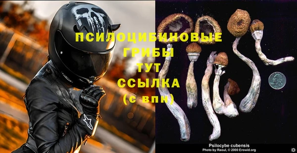 apvp Балабаново
