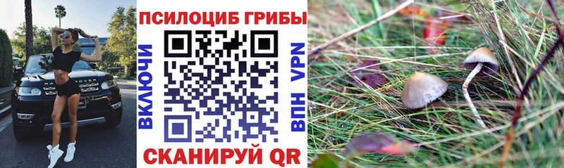 Галлюциногенные грибы Magic Shrooms  Семикаракорск 
